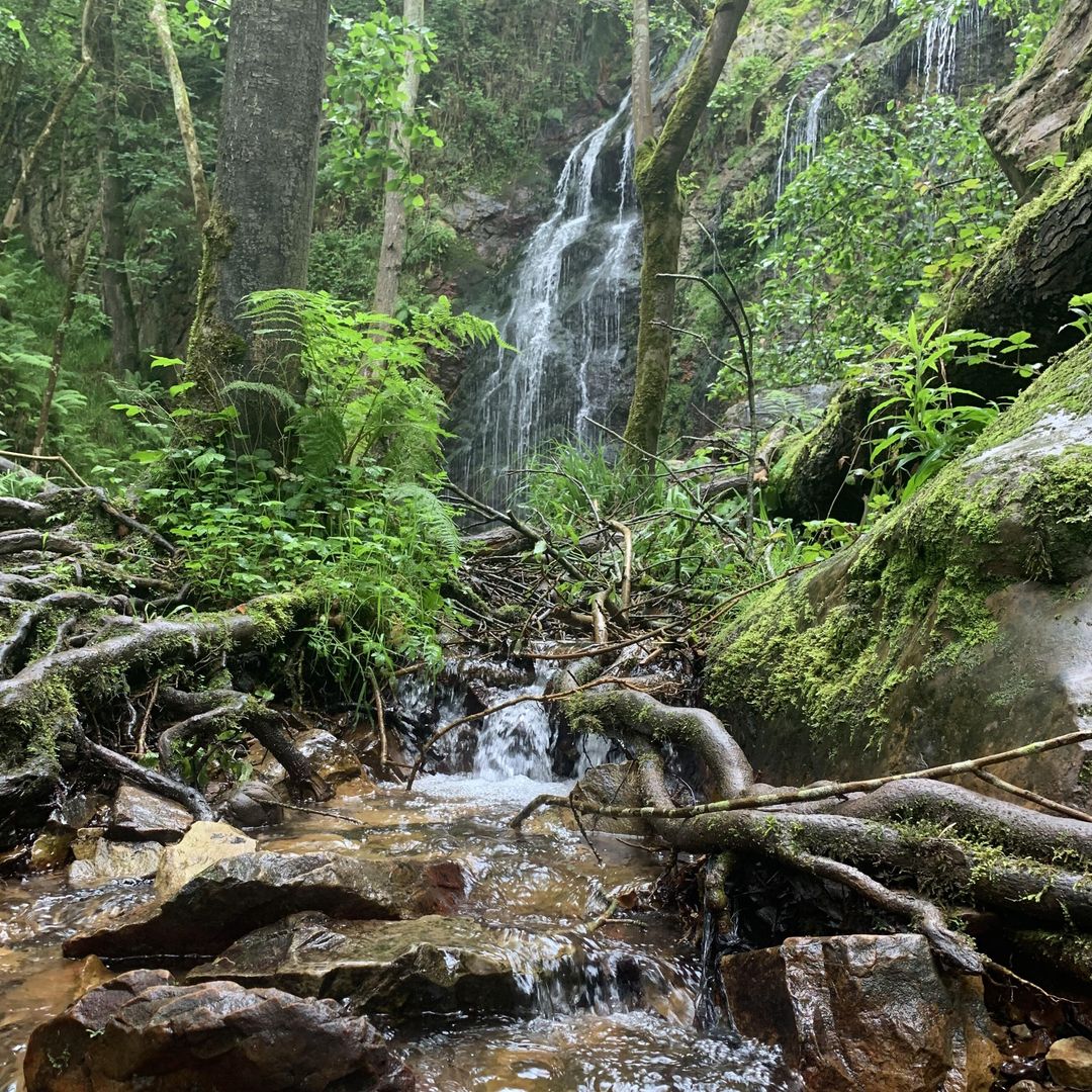 Cascada de Guanga, Asturias