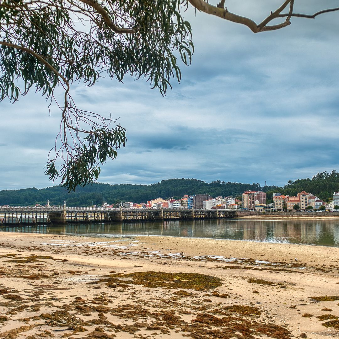 O Grove, Pontevedra, la ciudad donde se celebra una de las ferias del marisco más famosas de Galicia
