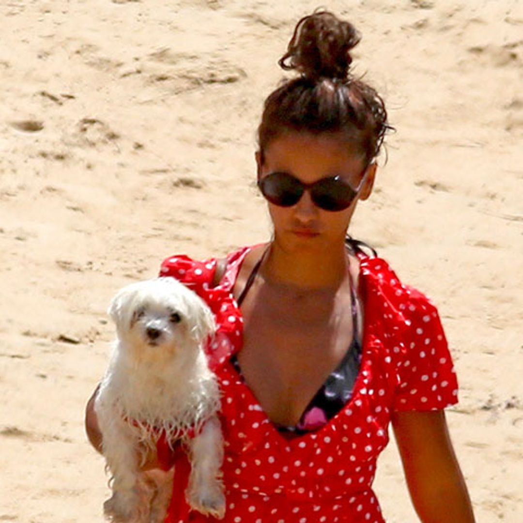 Playas 'dog friendly' para disfrutar del verano con tu mascota