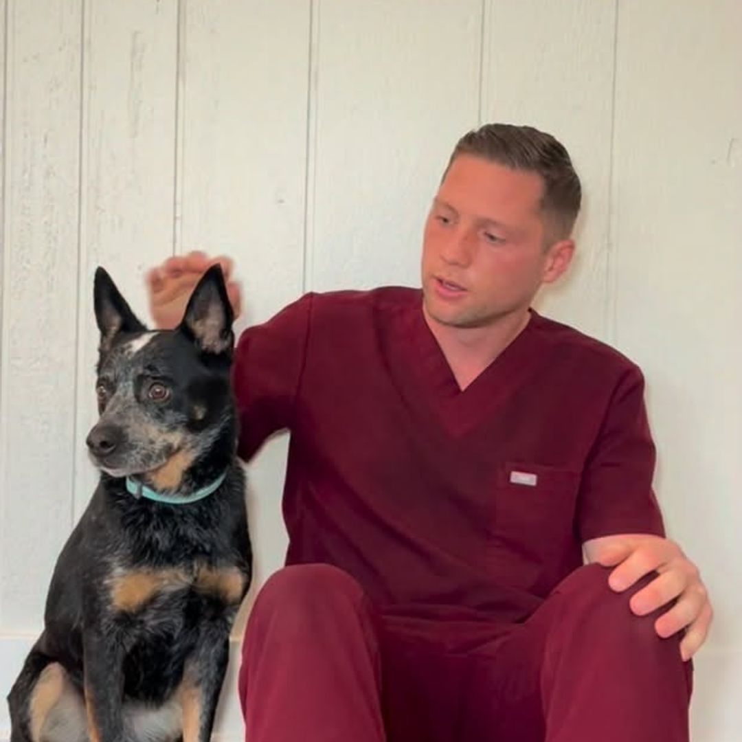El veterinario estadounidense John Murray se dedica a acompañar a familias que deben despedirse de sus mascotas en sus últimos momentos