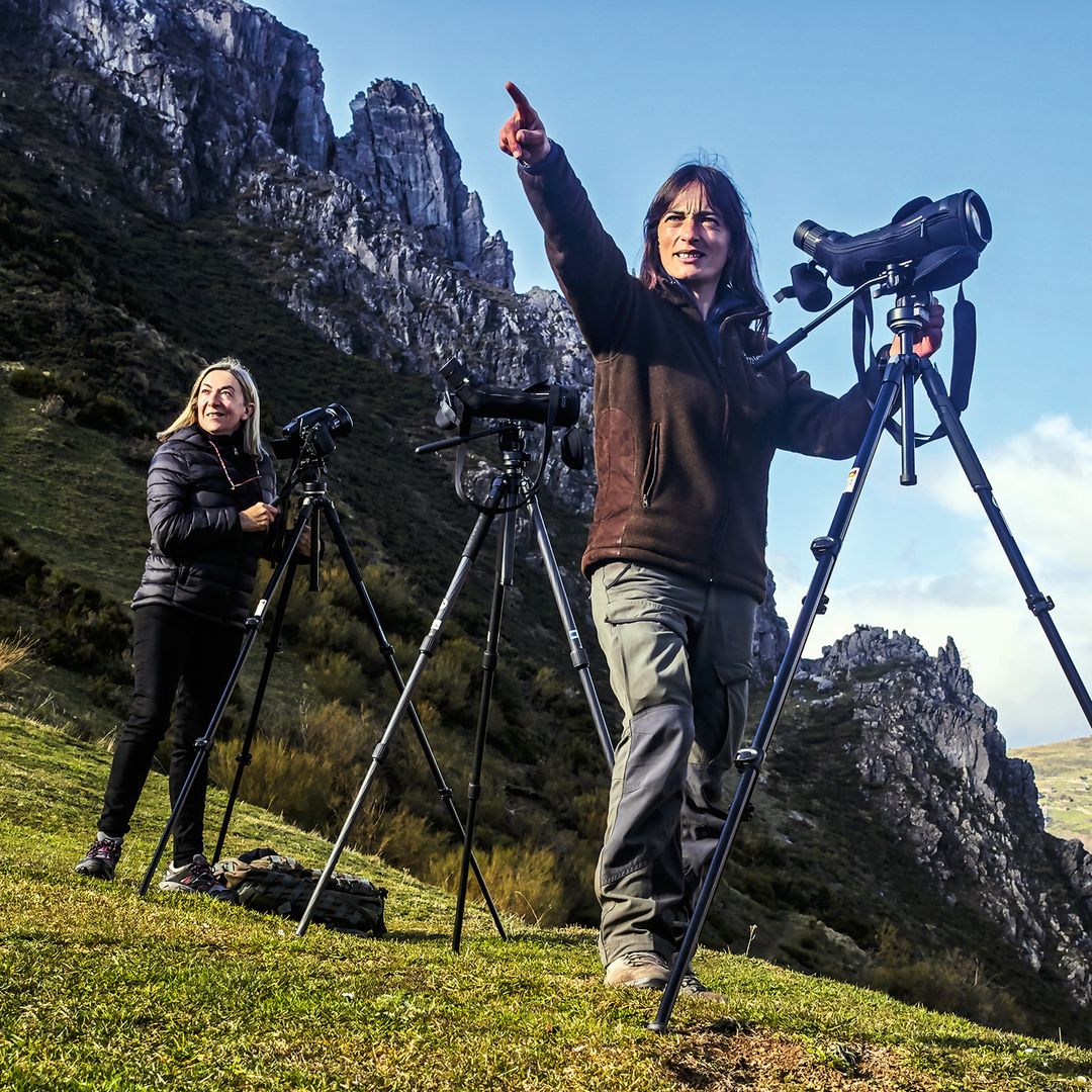 Avistando osos en el Parque Natural de Somiedo, Asturias