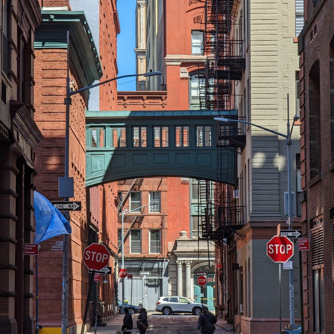 Staple Street Skybridge, Nueva York