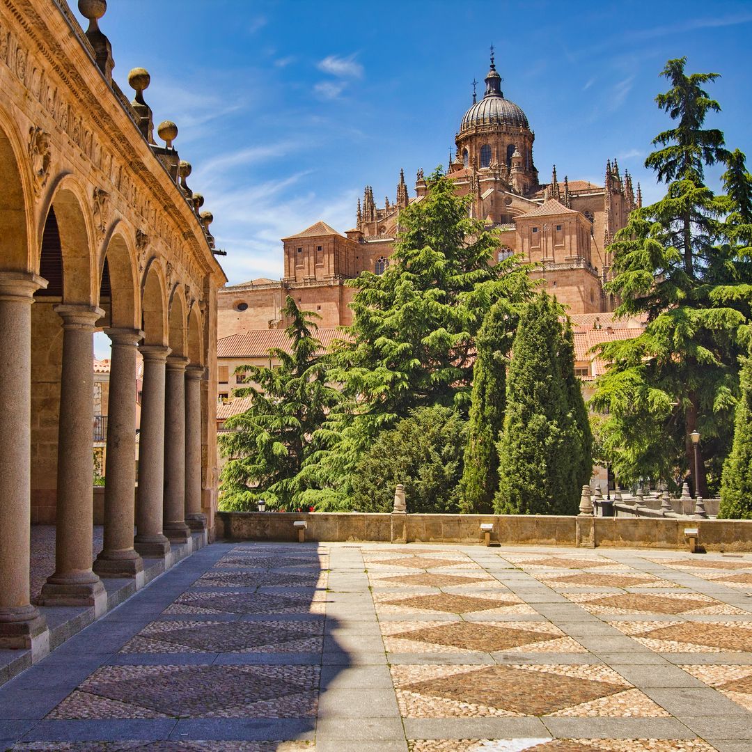 Vista de la Catedral de Salamanca desde el convento de las Dueñas