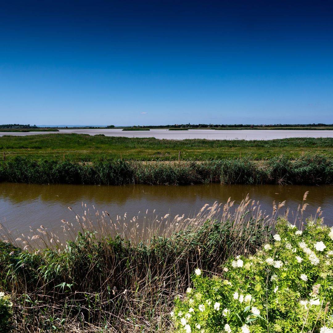 Lago Fertó en la frontera húngara