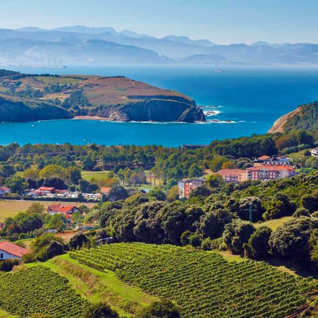 Un viaje extraordinario por las tierras del txakoli