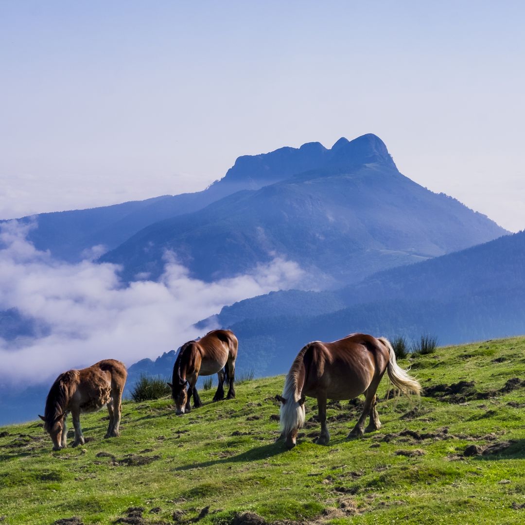Aiako Harria, Guipúzcoa, Irún