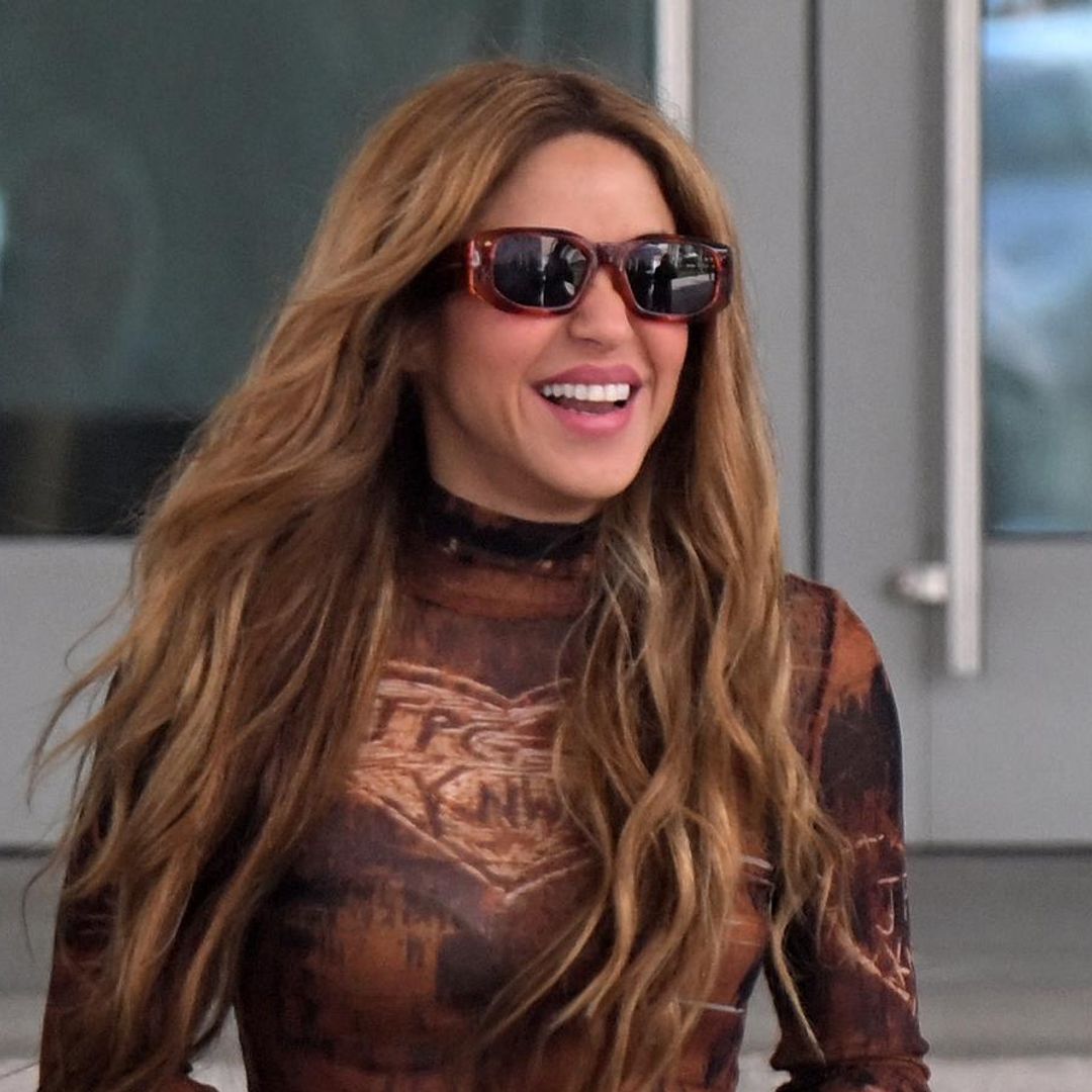 Shakira y su intento fallido por comprar una costosa pieza en Art Basel