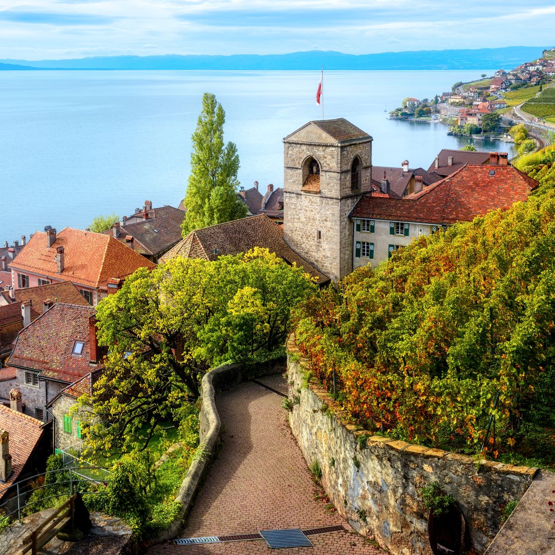 Pueblo de Saint Saphorin, viñedos en terrazas de Lavaux, lago Lemán, Suiza