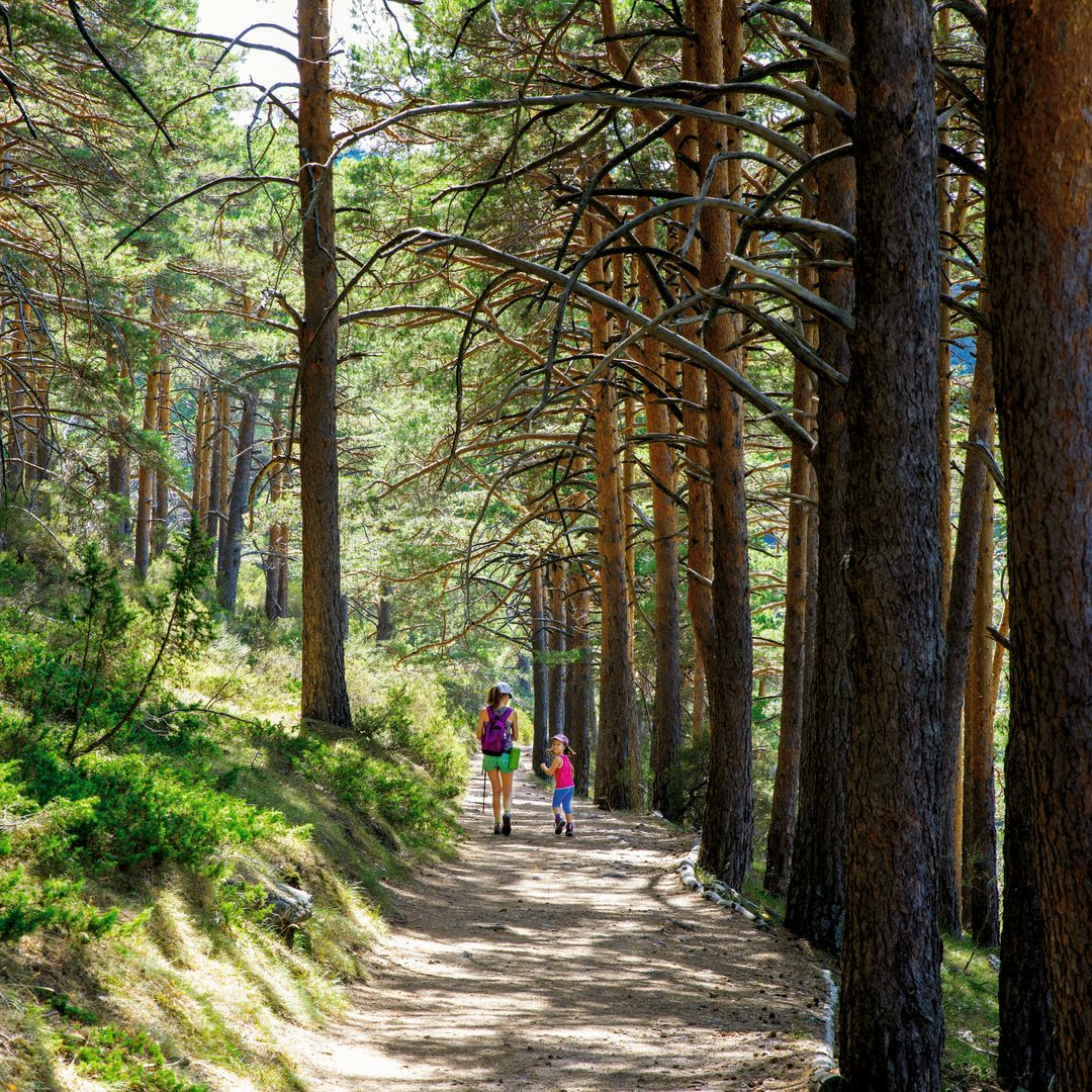 Sendero de Canencia, Madrid