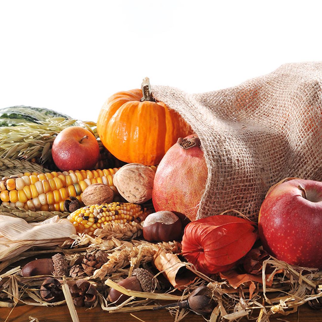 Alimentos que te ayudarán a superar la astenia otoñal