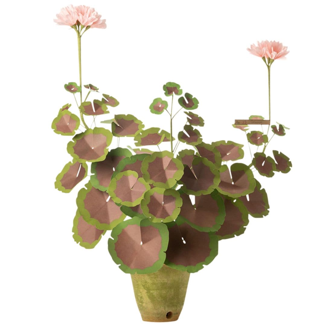 Planta, de The Green Vase (c.p.v.).