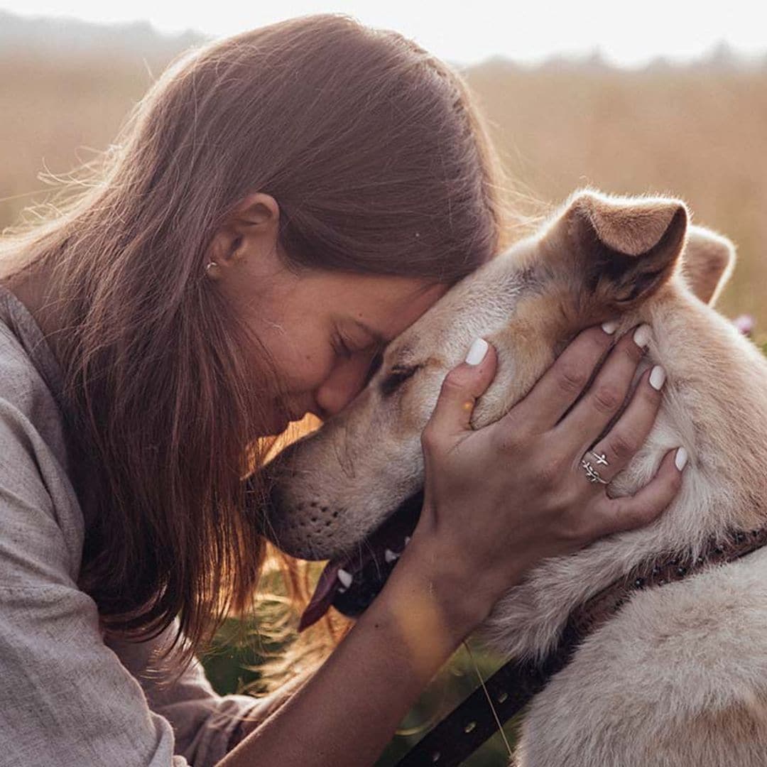 Descubre qué significan los sentimientos de tu perro