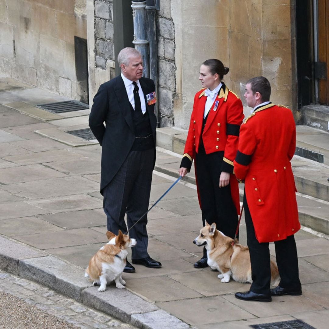 Los corgis y el caballo de la reina Isabel también participan en el adiós a la soberana