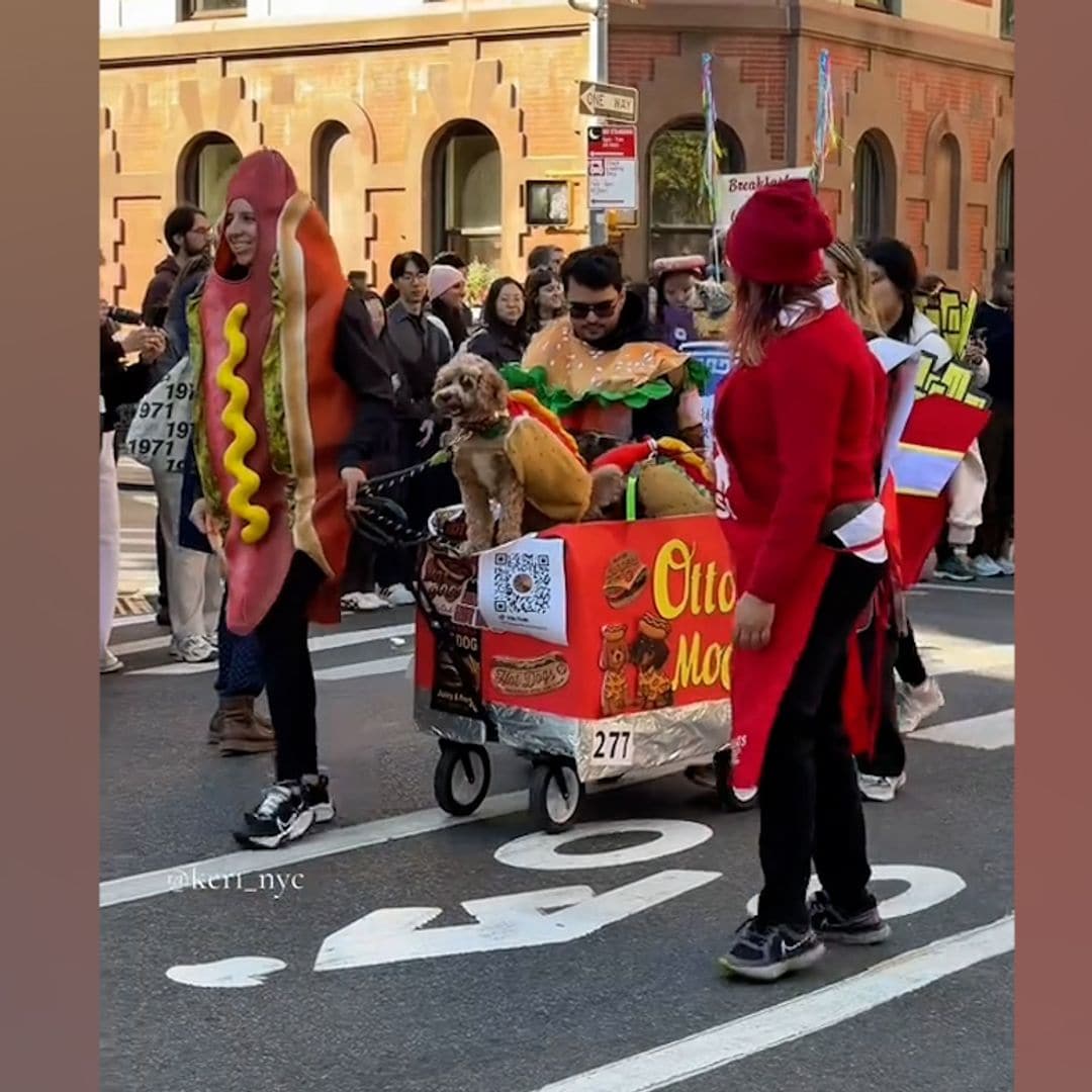 Nueva York acogió este fin de semana el desfile de perros con disfraces de Halloween más divertido