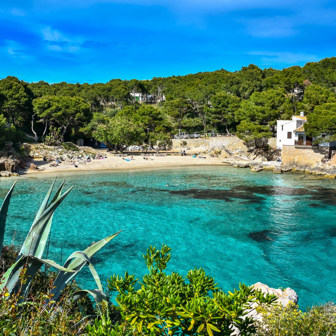 Cala Gat, Mallorca