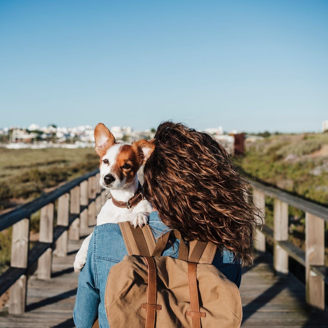 Conxita Martínez, veterinaria: "Si tu perro te sigue a todas partes, no siempre es amor: a veces es una llamada de auxilio"