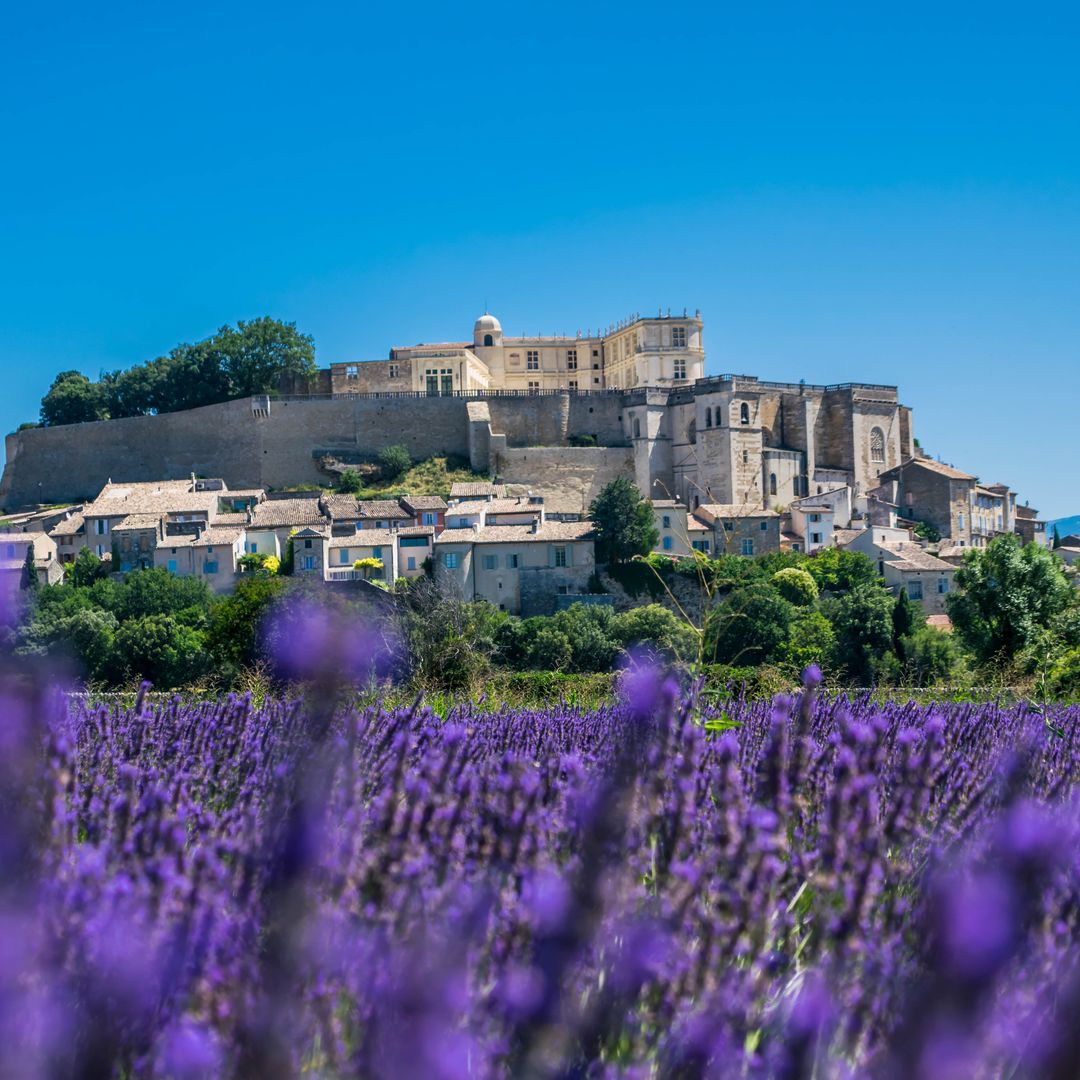 El pueblo más bonito de la Provenza francesa que casi nadie conoce: castillo renacentista, trufa negra y campos de lavanda a un paso del Ródano