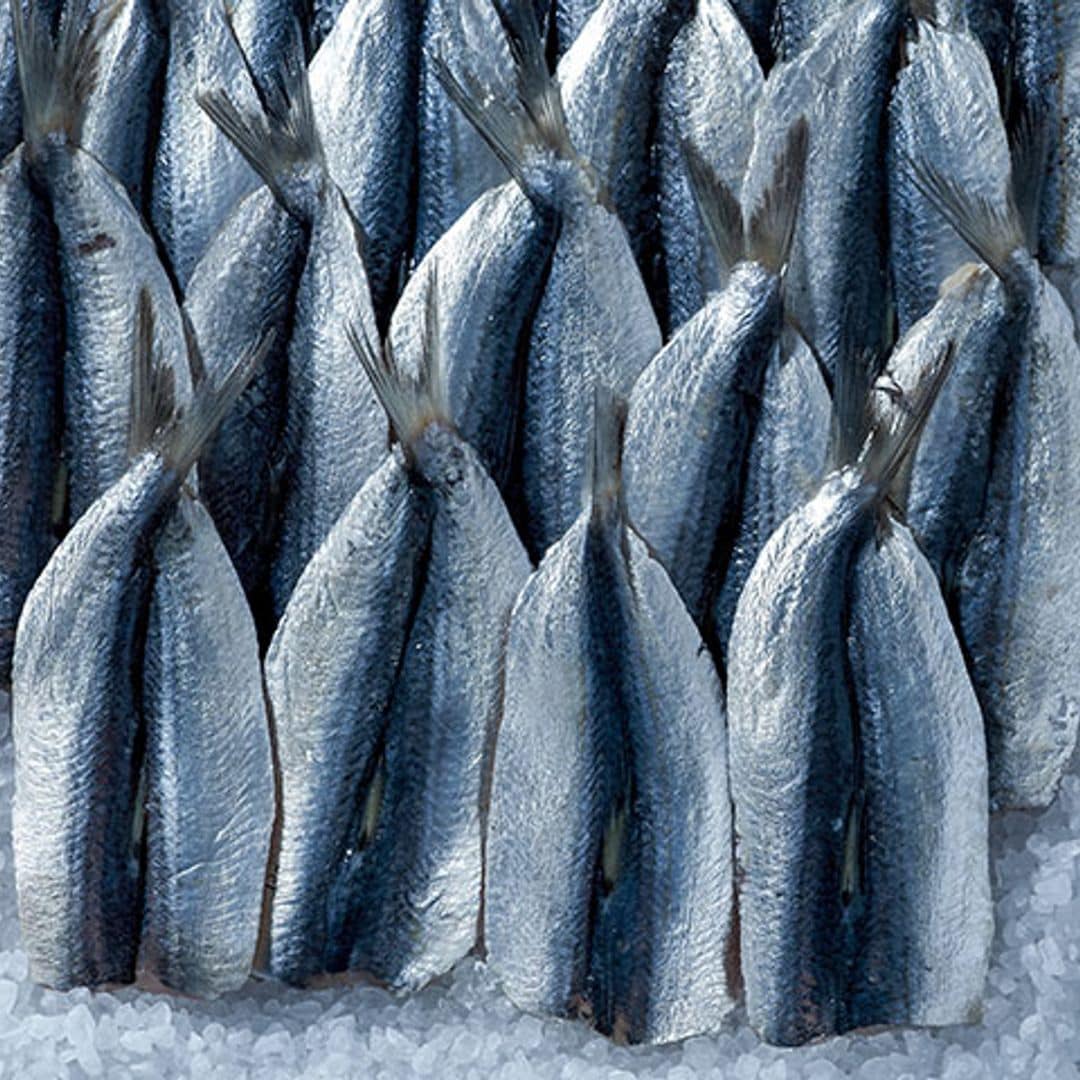 Sardinas, parrochas, xoubas… ¿sabes cuál es la diferencia?