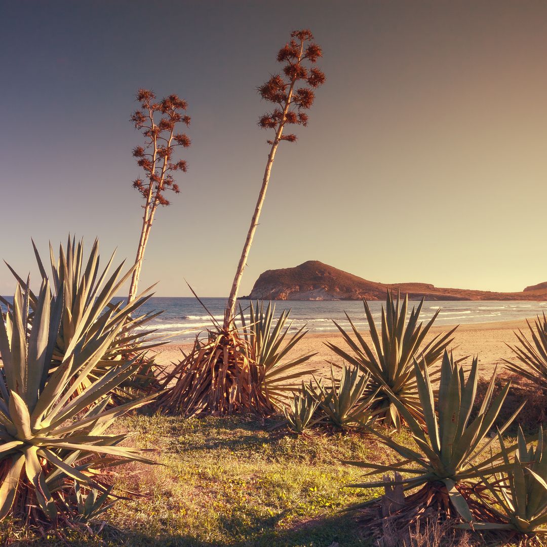 Playa de Los Genoveses  en el Parque Natural de Cabo de Gata-Níjar de Almería