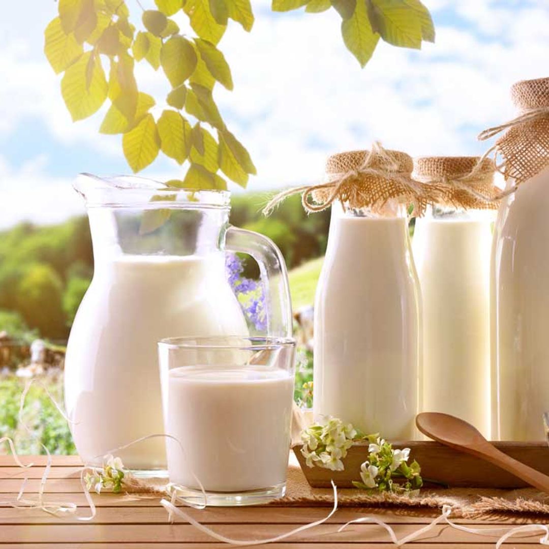 De vaca, de cabra o de oveja: ¿cuáles son las diferencias entre estos tipos de leche?