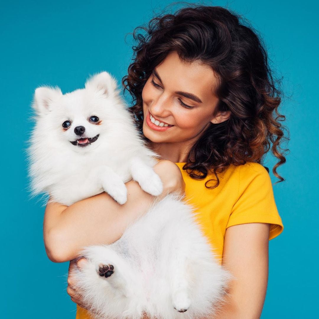 ¿Cómo saber si tu perro o gato sufren de obesidad?