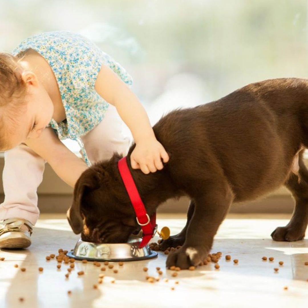 ¿Sabes que las mascotas pueden ayudar a la salud emocional de los niños?