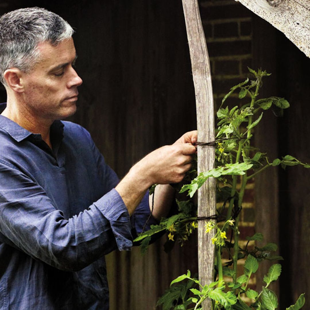 ¿Cultivar tu propia comida? Sigue los consejos de Aaron Bertelsen para crear un huerto ecológico en casa