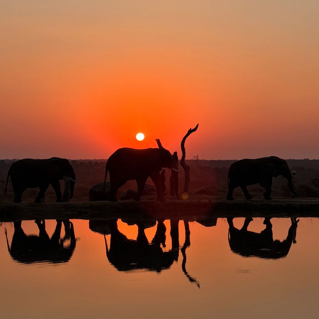 El Delta del Okavango en Botsuana