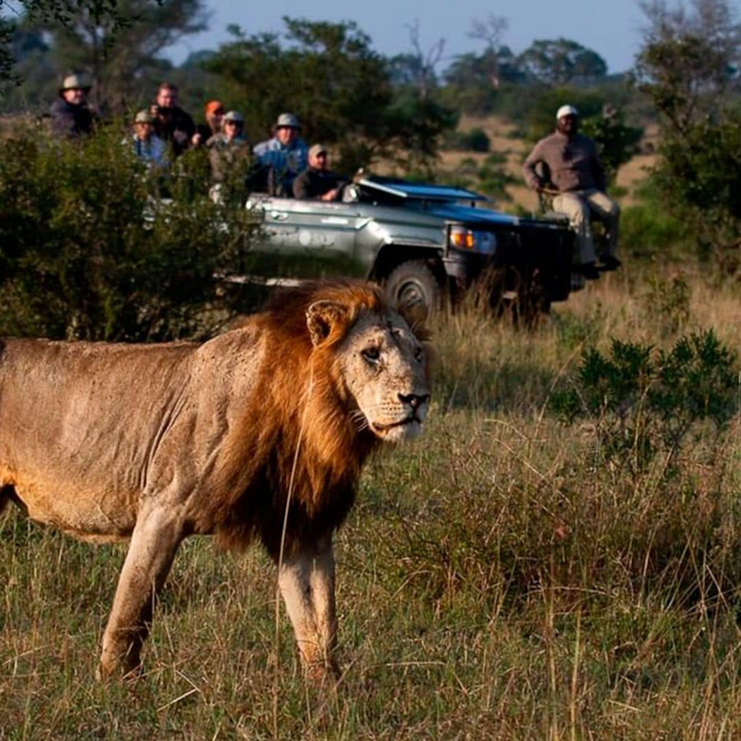 La experiencia de viajar al paraíso africano de Tamara Falcó e Íñigo Onieva