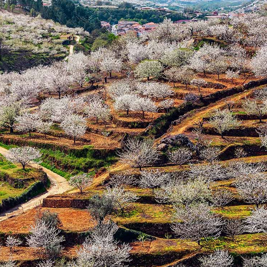 Marzo, un mes ideal para escapadas de fin de semana por España