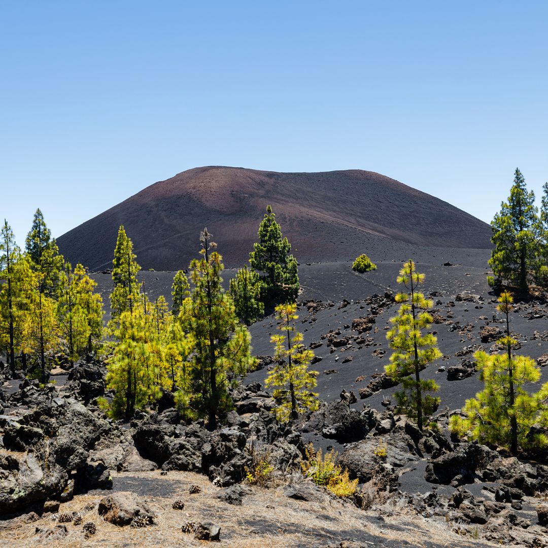 Volcán Chinyero, Tenerife