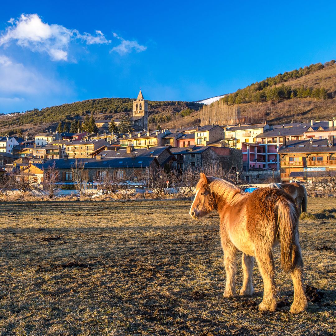 Caballo junto al pueblo de Llivia, Girona, Cerdaña