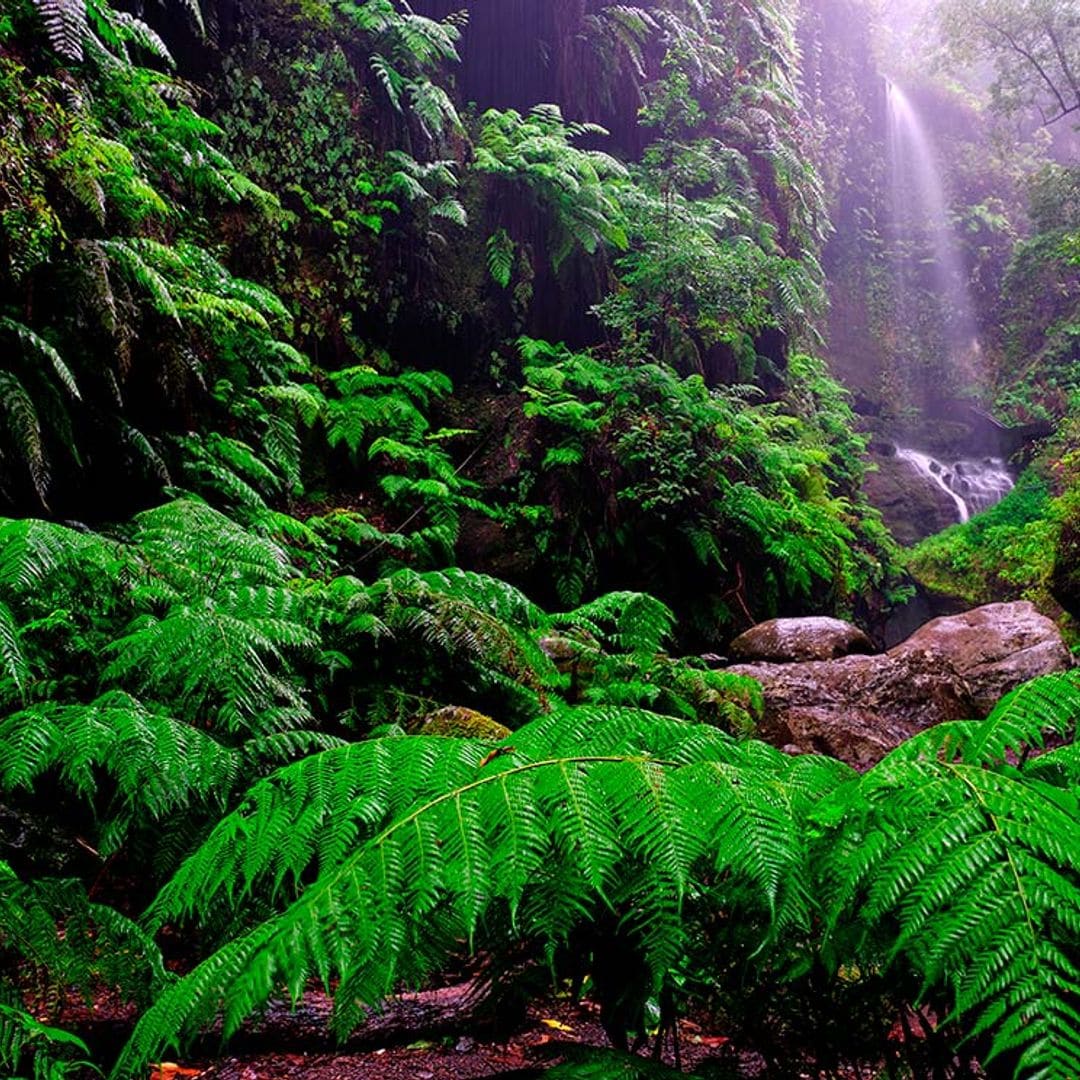Los rincones de La Palma que cautivaron a George Clooney