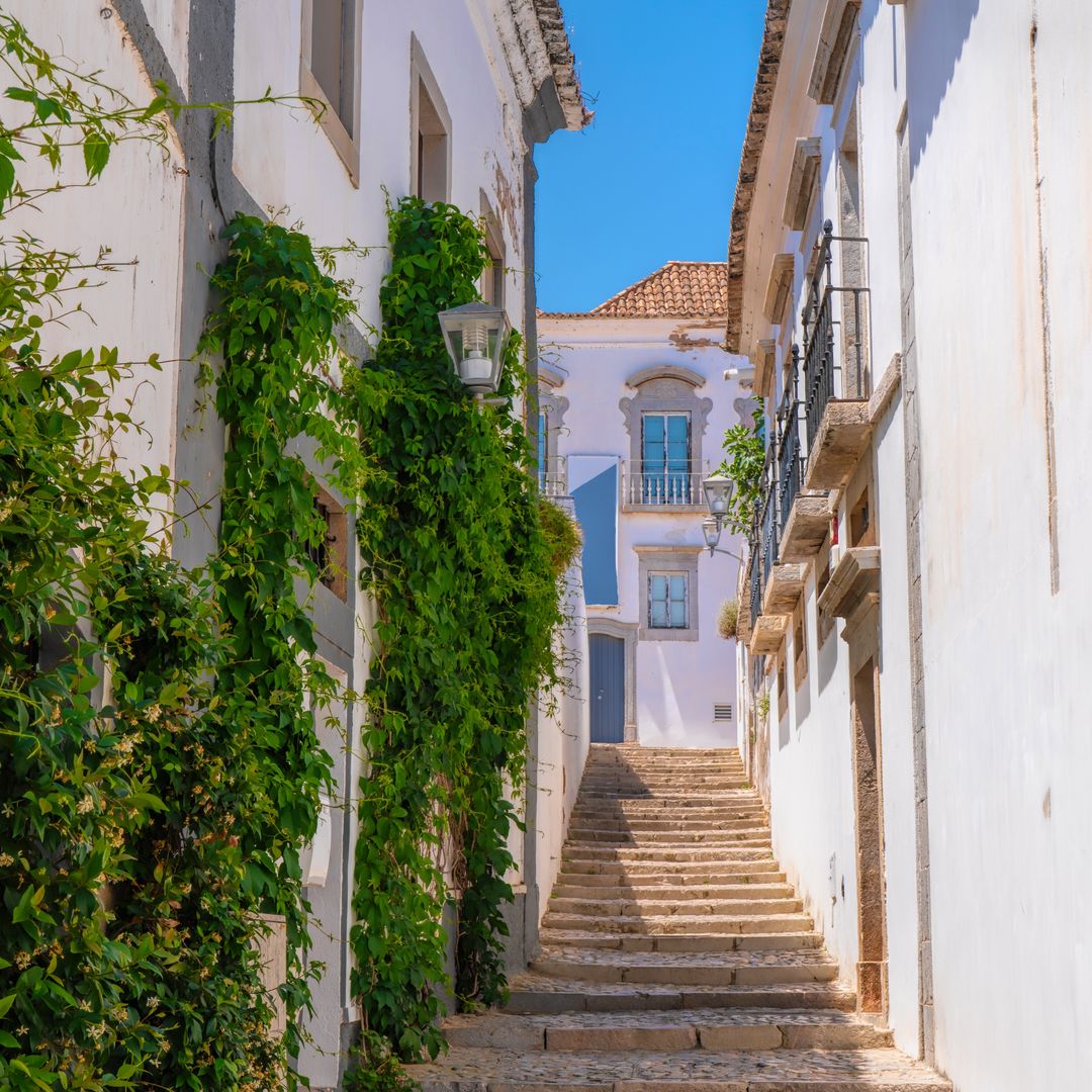 Calle de Tavira, Algarve, Portugal