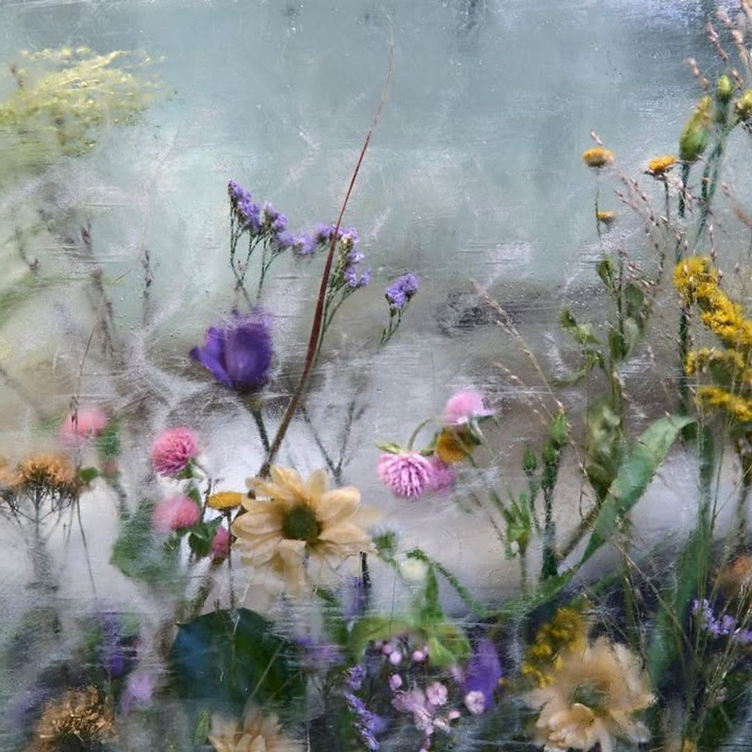 Carlos Felipe de Suecia y Oscar Kylberg, socios de la firma Bernadotte & Kylberg diseñaron la suite del Icehotel365, Suecia