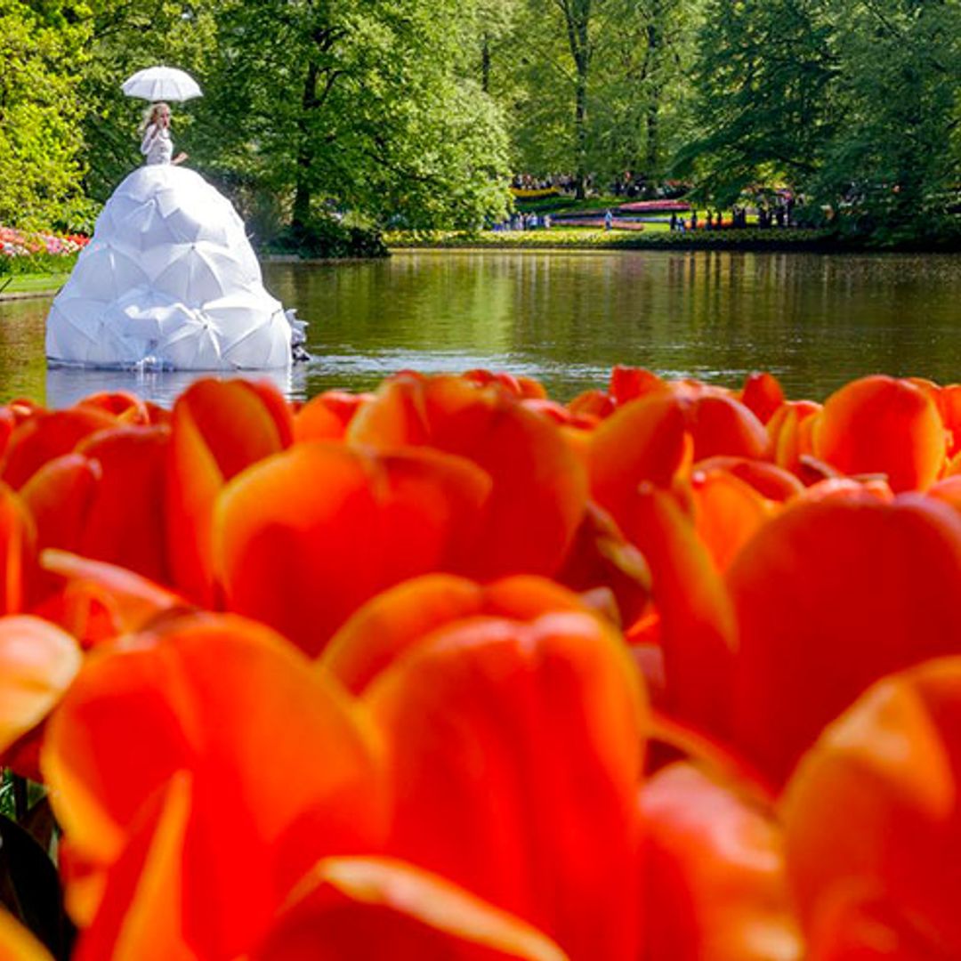 Keukenhof, el jardín más colorido de Europa en primavera 