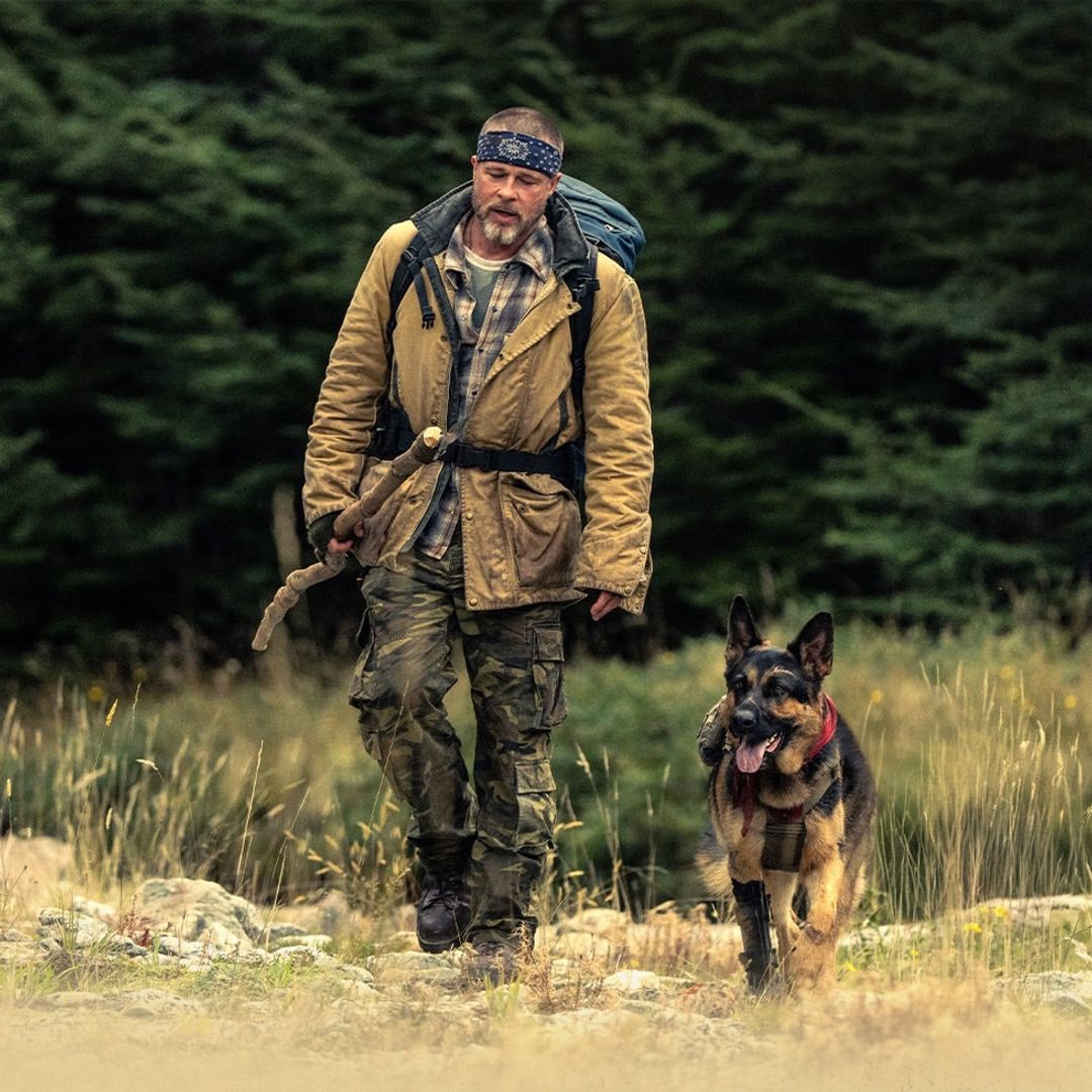 La Nueva Zelanda más salvaje que Brad Pitt convirtió en Alaska para su nueva película