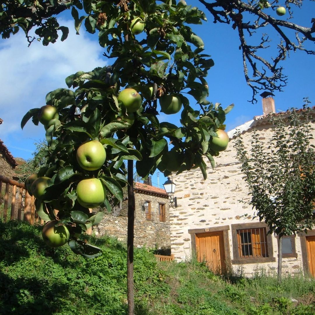 La Hiruela