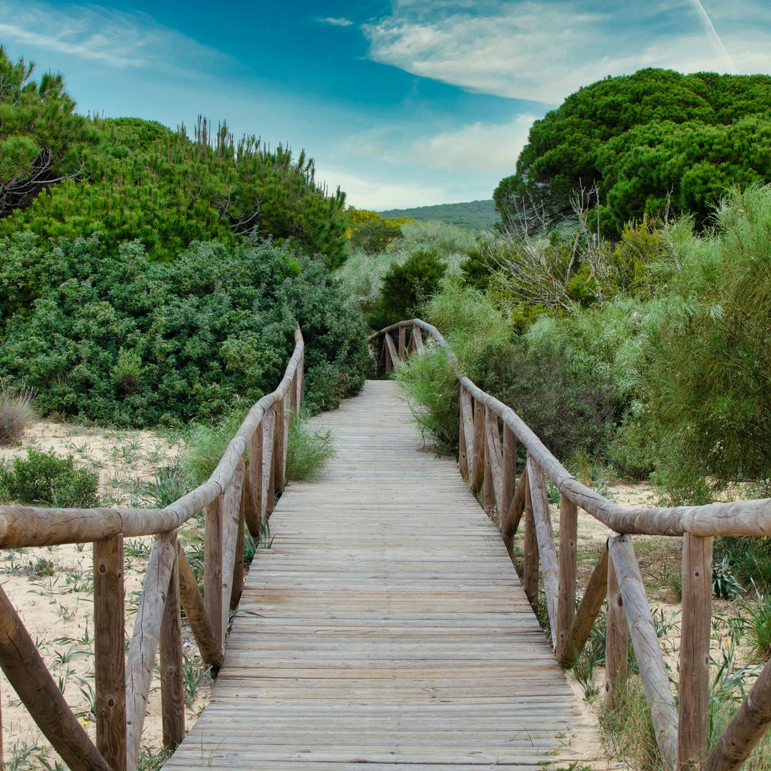 Parque Natural de la Breña y Marismas del Barbate