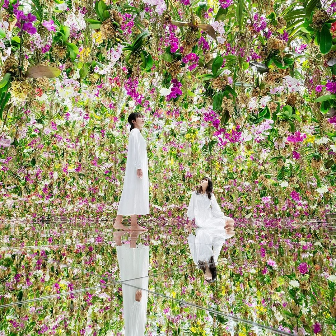 Museo interactivo TeamLab Planets de Tokio, récord Guinness por ser uno de los museos más visitados del mundo