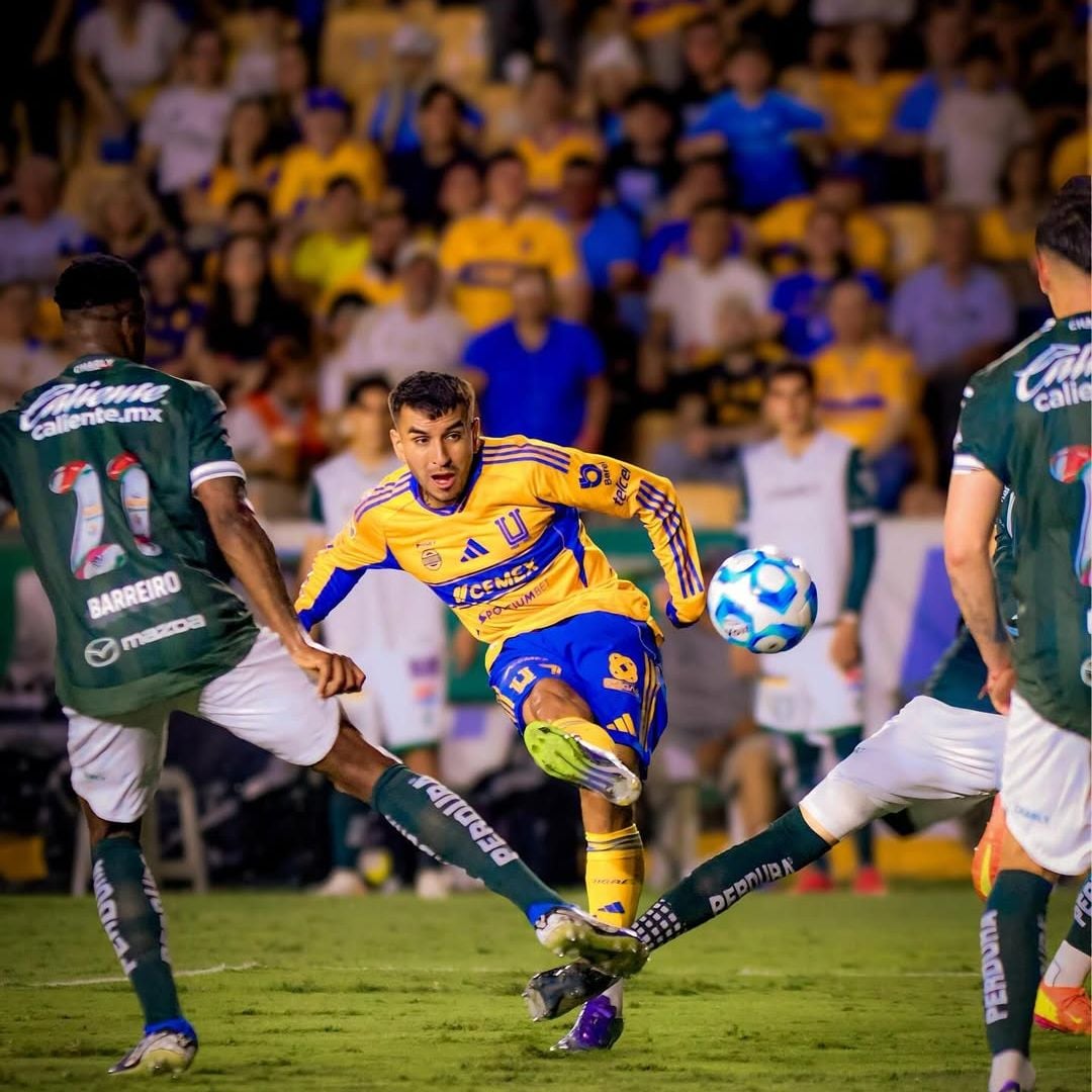 Ángel Correa se encuentra con un oso salvaje en pleno paseo familiar: el vídeo del gran susto
