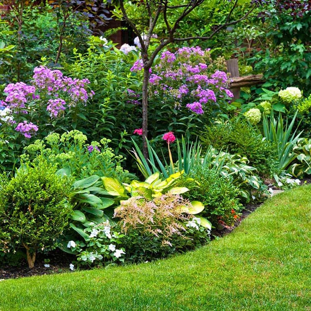 10 razones para cultivar plantas vivaces en el jardín