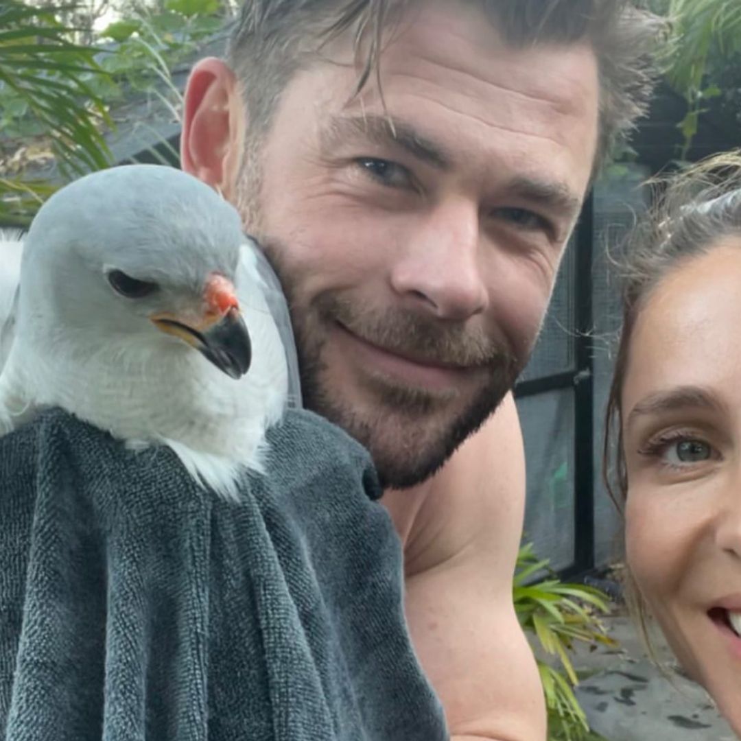 ¡Elsa Pataky y Chris Hemsworth al rescate! Así han liberado a un ave atrapada en su gallinero