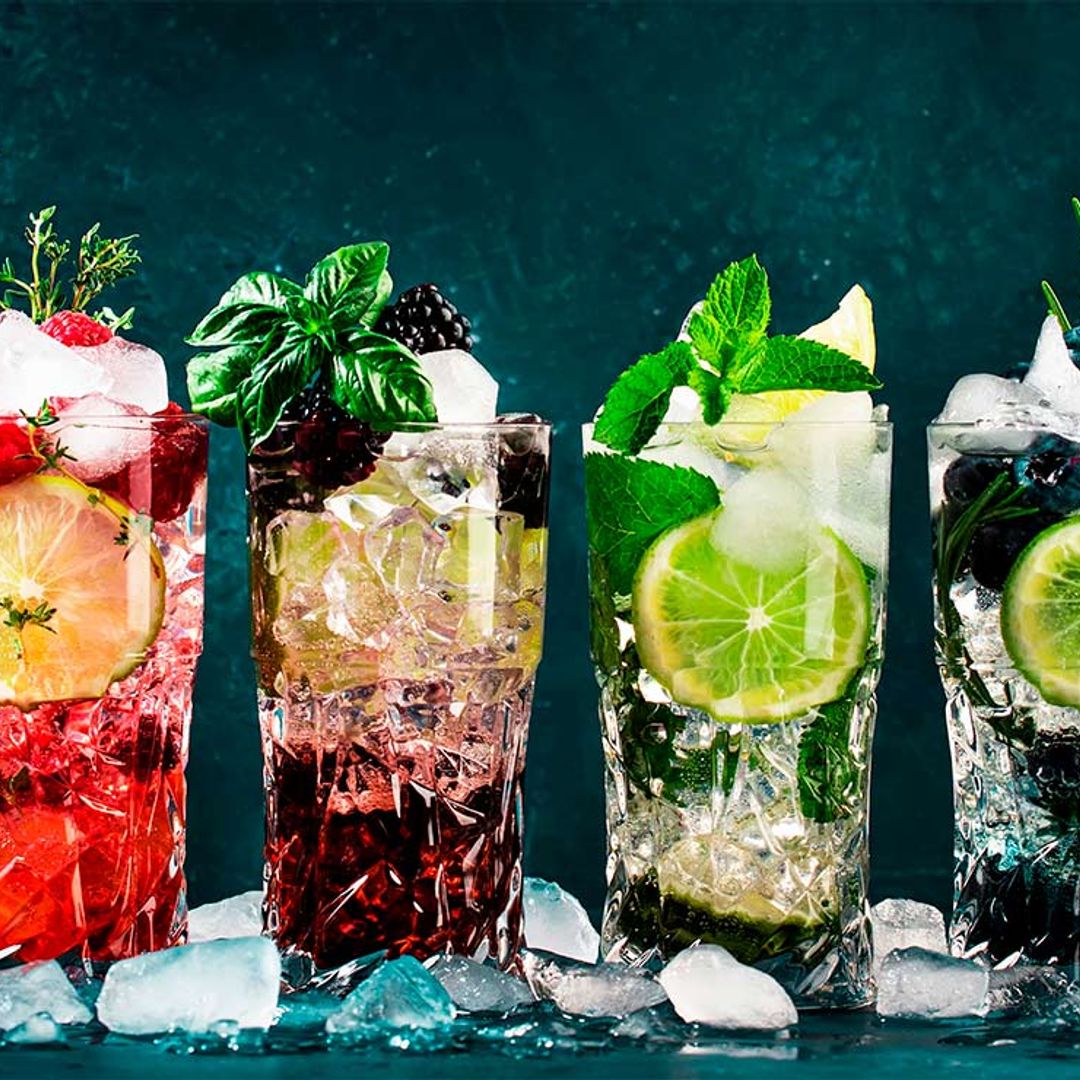 Agita la coctelera y prepara refrescantes cócteles con ginebra