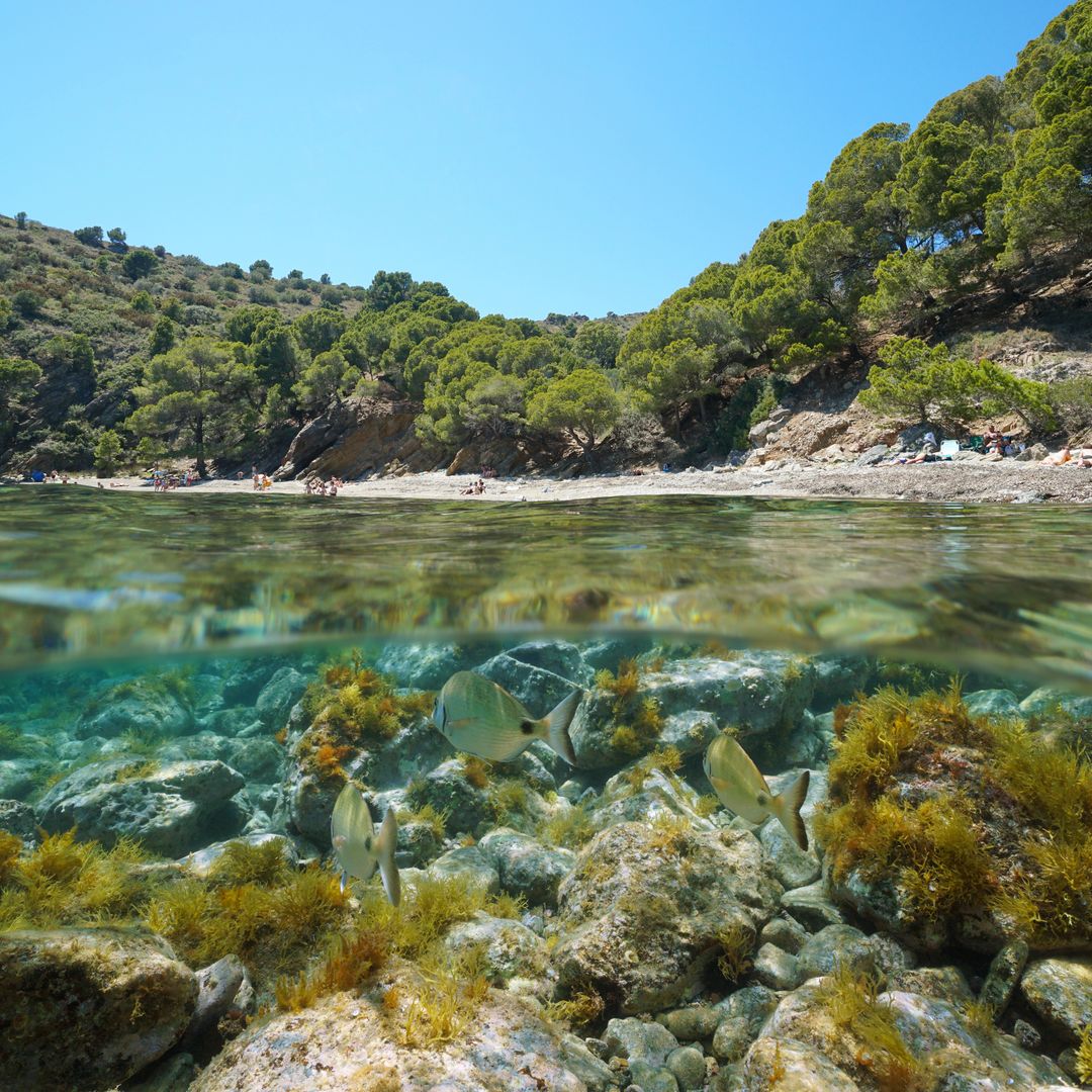 Cala Rustella, Costa Brava,