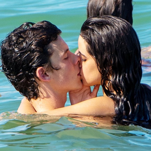 camila cabello shawn3