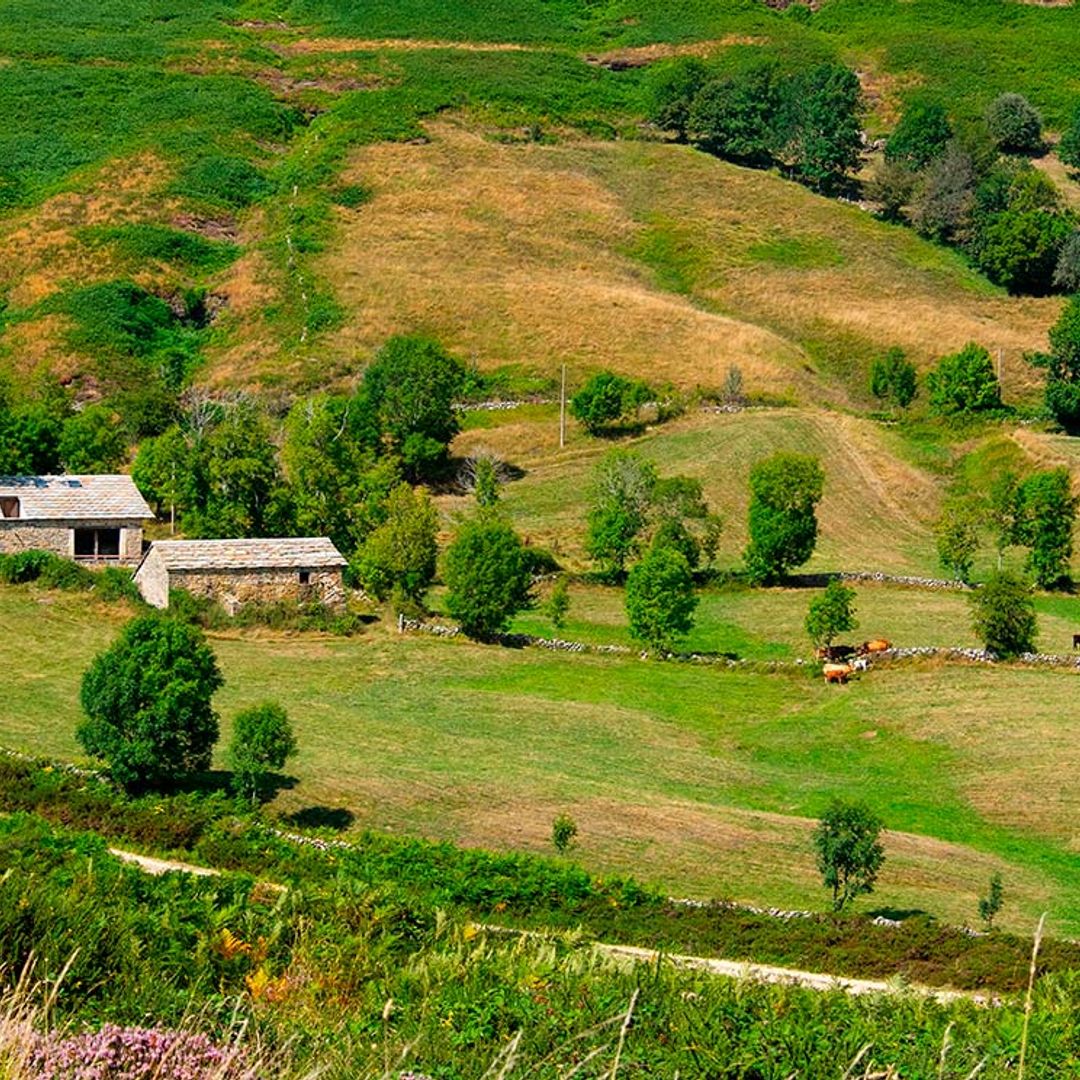Los otros valles pasiegos que no son de Cantabria sino de Burgos