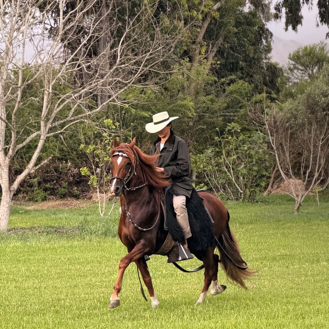 En su finca "El Valentín", en El Carmen, Chincha (Ica). Roca Rey monta a caballo y disfruta de la naturaleza, que lo inspira y le da paz, antes de trasladarse a Lima para celebrar el décimo aniversario de su alternativa
