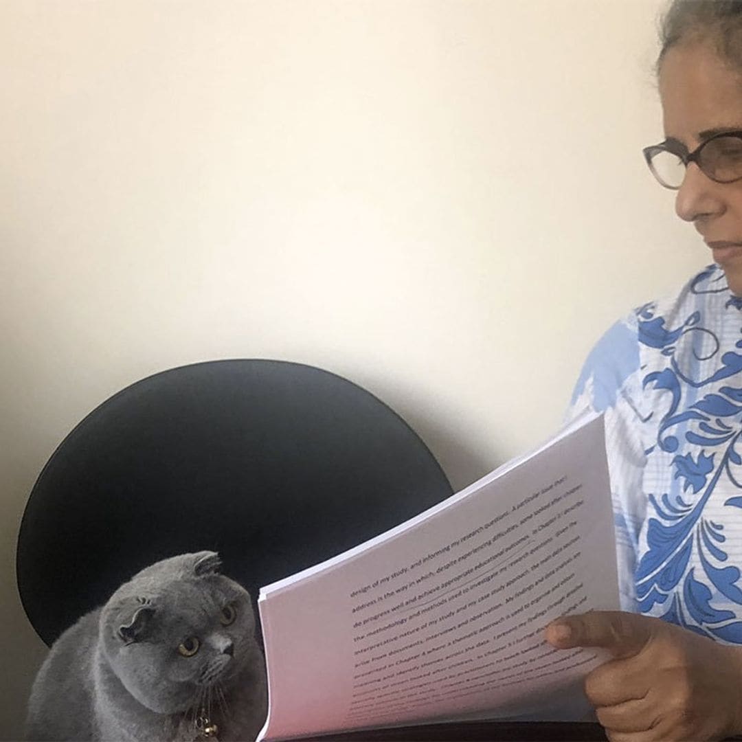 El gato del examen y otros memes felinos que recordaremos de 2019