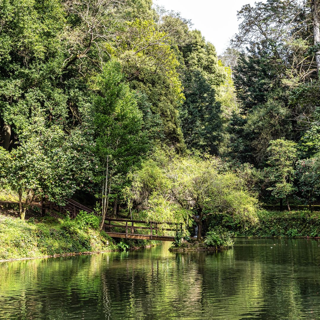 Gan Lago de Bussaco, Portugal